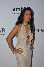 Suchitra Pillai at the amfAR India event in Mumbai on 17th Nov 2013
